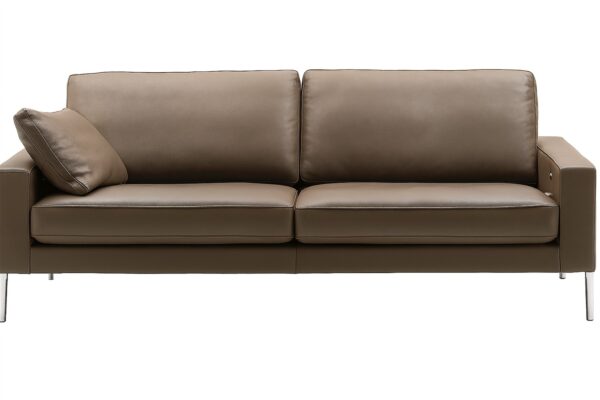Modernes FSM Claro Sofa mit elegantem Design für stilvolles Wohnen.