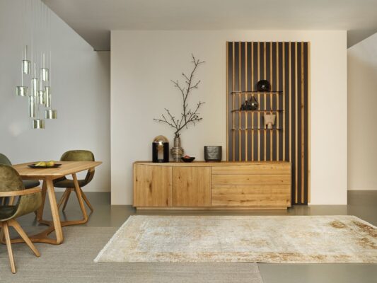 Moderne CAD-Software Gino 5 von Anrei für professionelle Möbelplanung und Design.