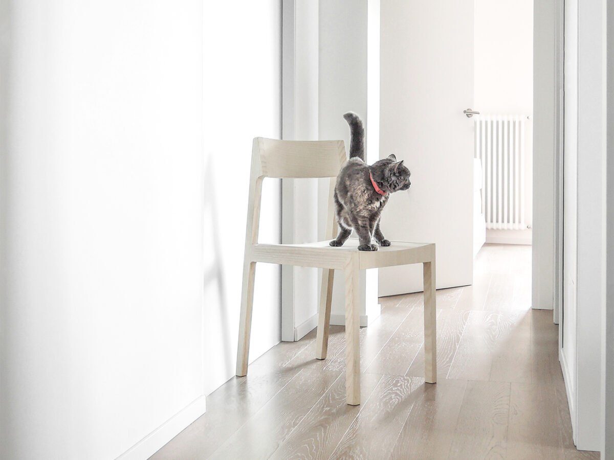 Moderner Bedont Buerostuhl Mit Ergonomischem Design Und Hochwertiger Verarbeitung Fuer Komfortables Arbeiten