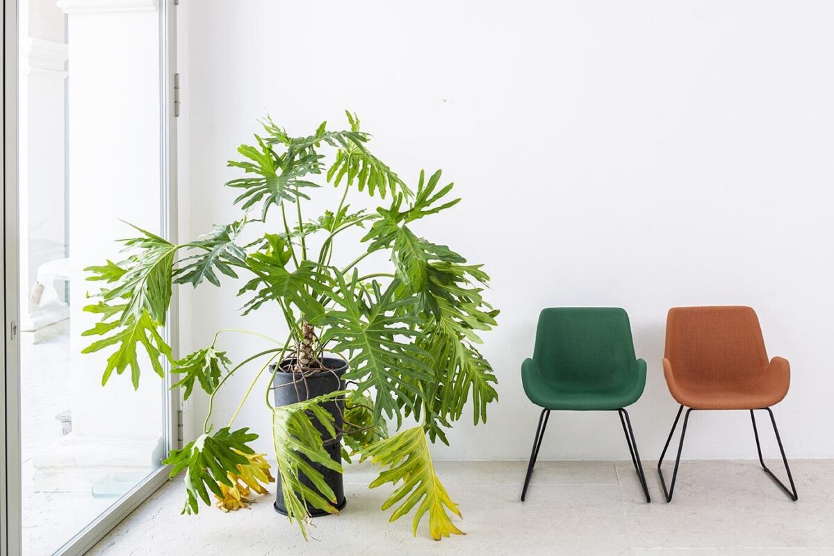 Moderner ergonomischer Bürostuhl Marte 7 - höhenverstellbar mit Lordosenstütze für gesundes Sitzen im Büro.