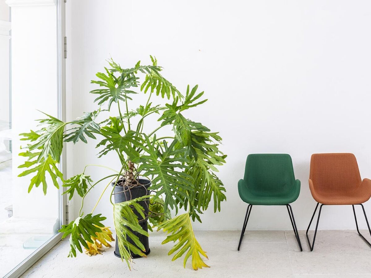 Moderner ergonomischer Bürostuhl Marte 7 - höhenverstellbar mit Lordosenstütze für gesundes Sitzen im Büro.