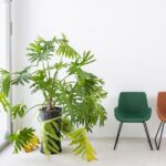 Moderner ergonomischer Bürostuhl Marte 7 - höhenverstellbar mit Lordosenstütze für gesundes Sitzen im Büro.