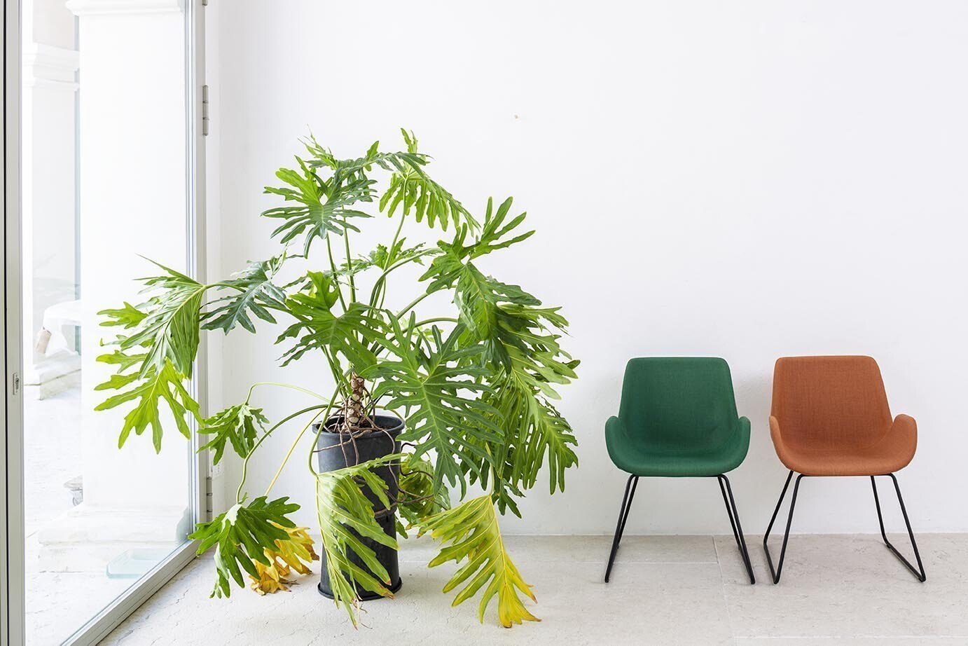 Moderner ergonomischer Bürostuhl Marte 7 - höhenverstellbar mit Lordosenstütze für gesundes Sitzen im Büro.