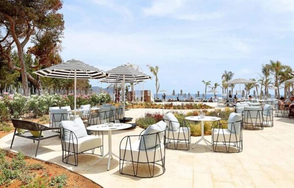 Isimar Lagarto bietet innovative Software-Lösungen für erfolgreiche digitale Transformation in Unternehmen.