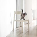 Moderner Bedont Buerostuhl Mit Ergonomischem Design Und Hochwertiger Verarbeitung Fuer Komfortables Arbeiten