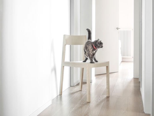 Moderner Bedont Buerostuhl Mit Ergonomischem Design Und Hochwertiger Verarbeitung Fuer Komfortables Arbeiten