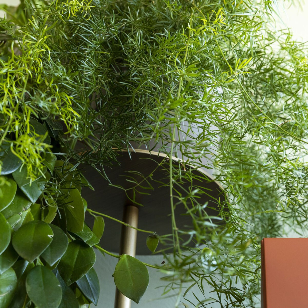 Mogg - Sideboard Ikebana – Bild 9