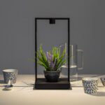 Elegante Artemide Curiosity Tischleuchte mit modernem Design für stilvolle Beleuchtung.