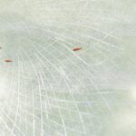 Exklusive Anassa Tapete für stilvolle Wandgestaltung und moderne Raumdekoration.