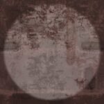 Graue Beton-Tapete im modernen Industrial-Look für stilvolle Wandgestaltung.