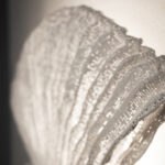 Moderne Venus Wandleuchte von A-Emotional Light für stilvolle Raumbeleuchtung