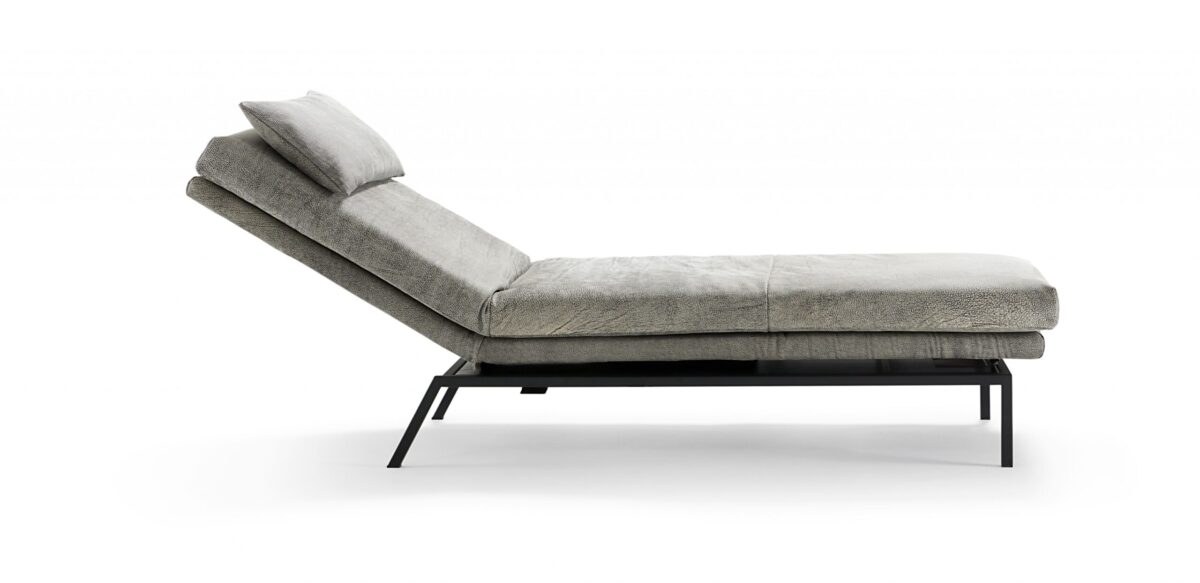 Signet - Liege Yoko – Bild 3