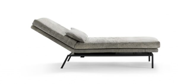 Signet - Liege Yoko